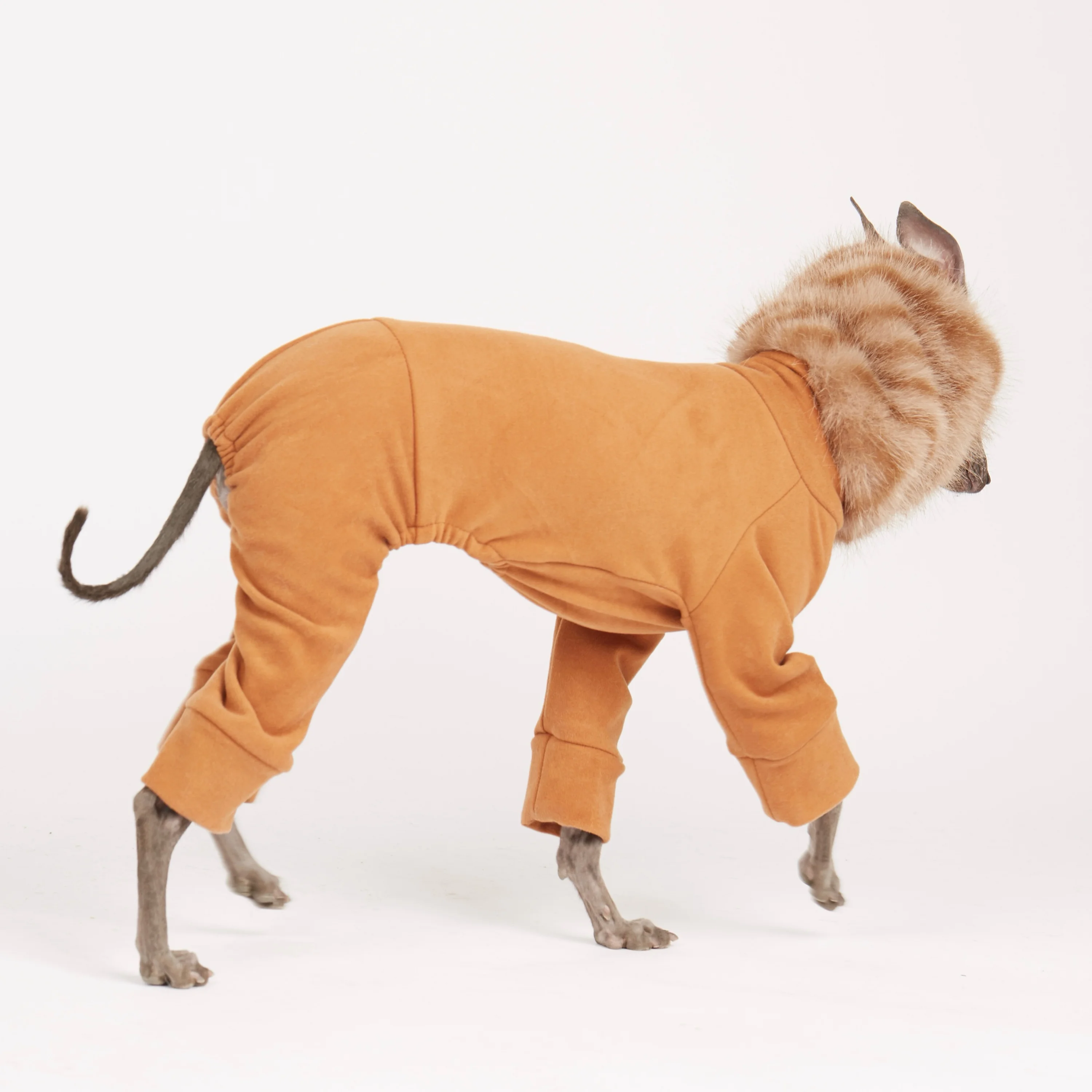 

Haoai Super Soft Fleece Orange Jumpsuit for Italian Greyhound in Winter Spring Warm Grey Stretch Bodysuit for Whippet Dog Coat