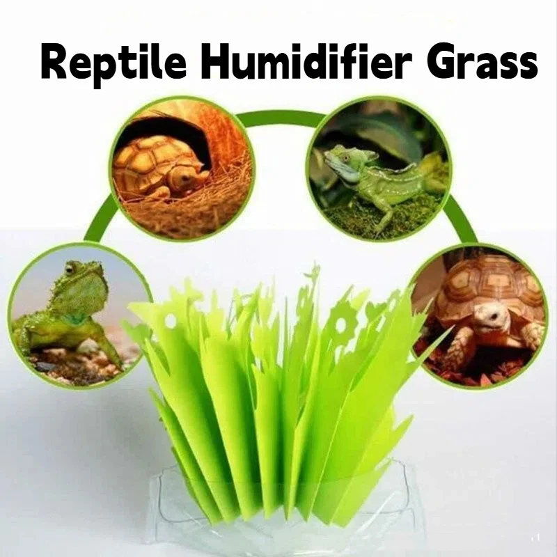Pet Reptile Tortoise Lizard Terrarium Box Humidifier Without Electricity Moisturizing Green Plant Gasification Humidification