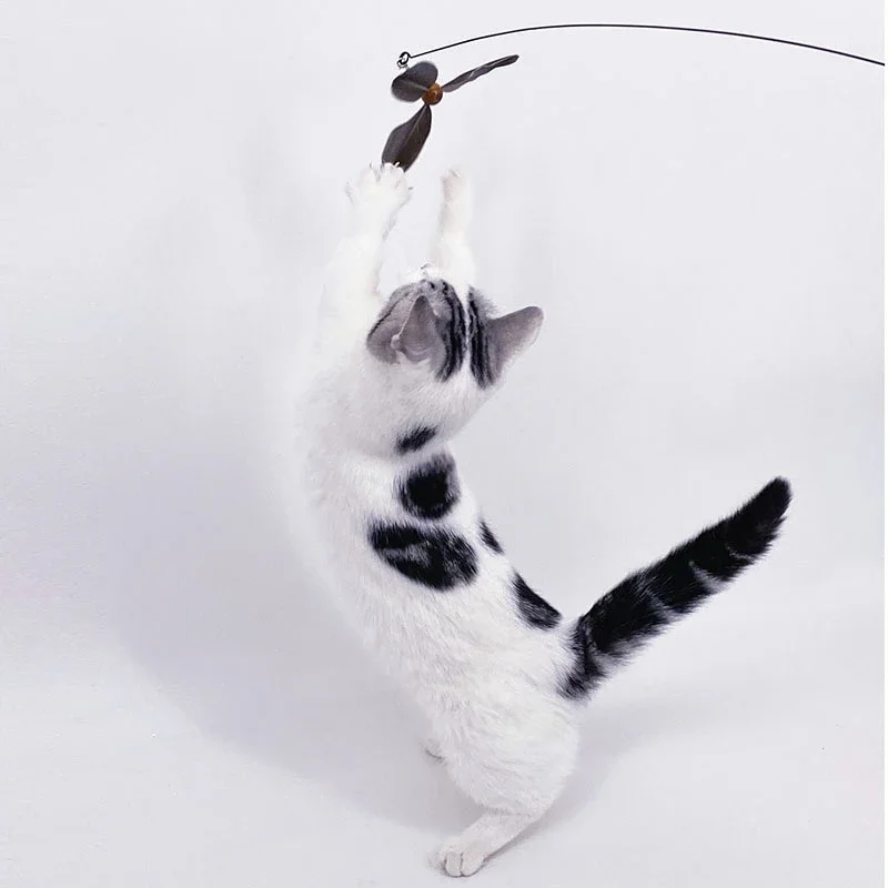 Feather Cat Toy Pet Toy Funny Cat Stick Rotating Feather Cat Teaser Cat Accessories