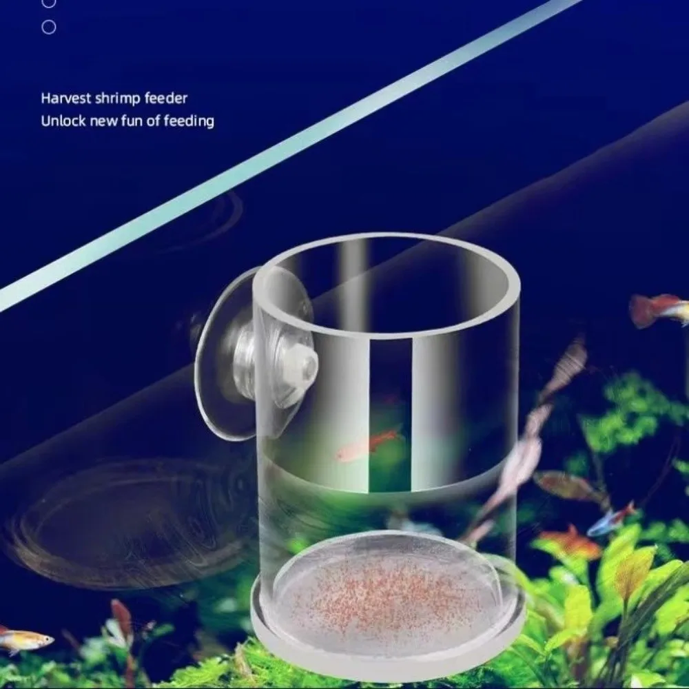 Acrylic Brine Shrimp Feeder Fixed-Point Transparent Fish Tank Feeding Cup with Suction Cup Durable Floating Ring