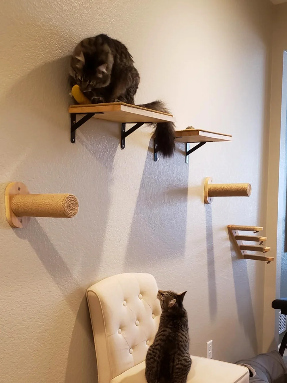 Wall Mounted Cat Tree Wooden Shelves Scratching Posts Climbing Cat tower Hammock With Solid Floating Perches Steps and Ladder