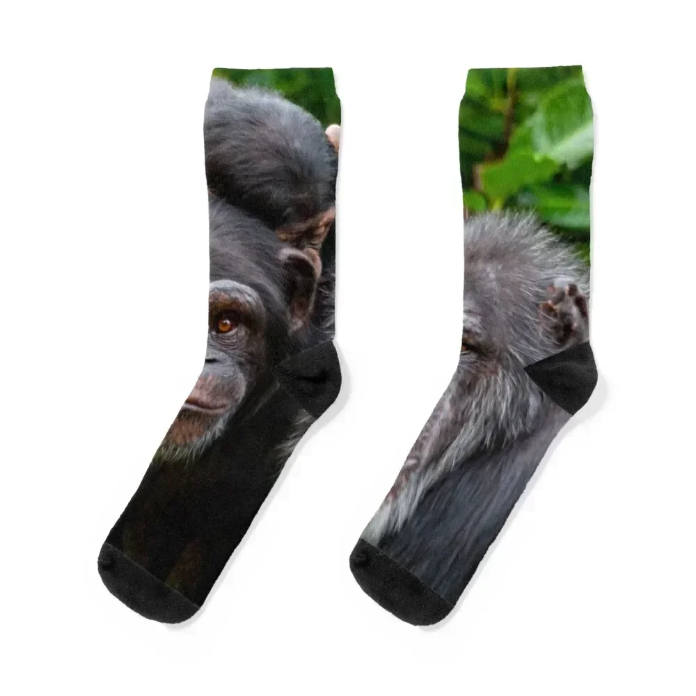 

Chimp family Socks Stockings compression Wholesale shoes floral Socks Man Women's