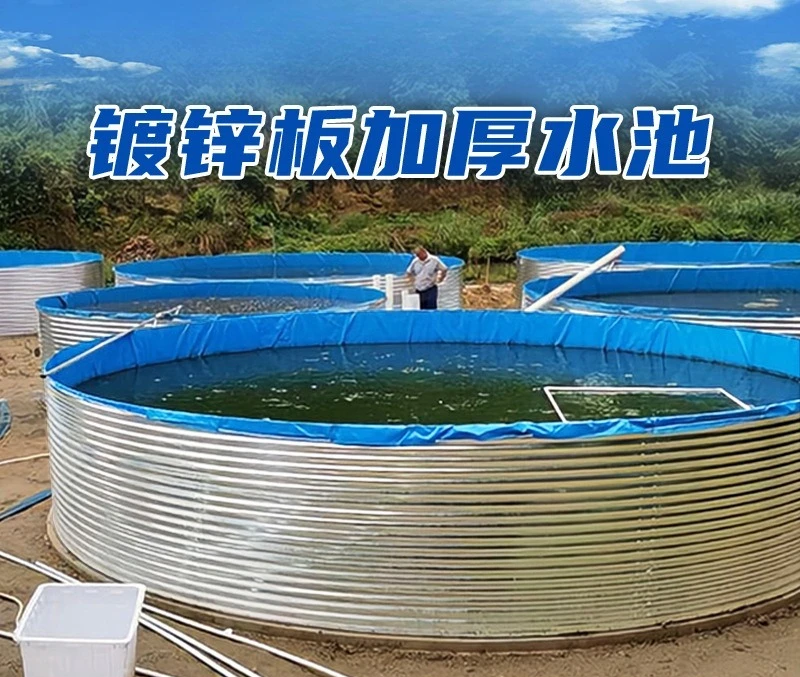 بركة صيد السمك المجلفنة 2025 - حوض سباحة زراعة الأسماك الدائري عالي الكثافة - نظام المياه والأسمدة المتكامل للأراضي الزراعية