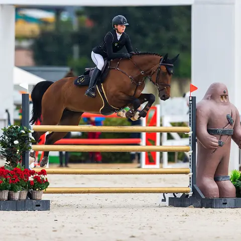Portable Custom Equestrian Horse Jump Obstacles with High Strength PVC and Steel Poles for Showground Horse Jumping