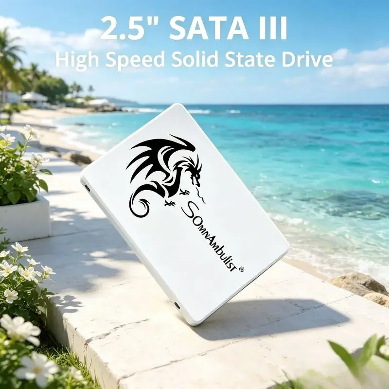 

Exquisite SomnAmbulist 2.5 Inch SATA3 Drive, Rich Memory Capacity Choices, High Speed Solid State Drive for Home and Office PC