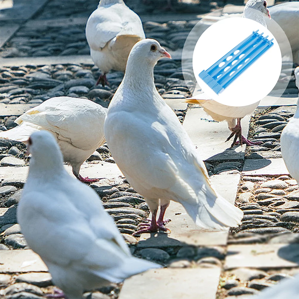 

4 Pcs Pigeon Leg Band Stand Chicken Racks Numbered Plastic Bird Training Ring Holder