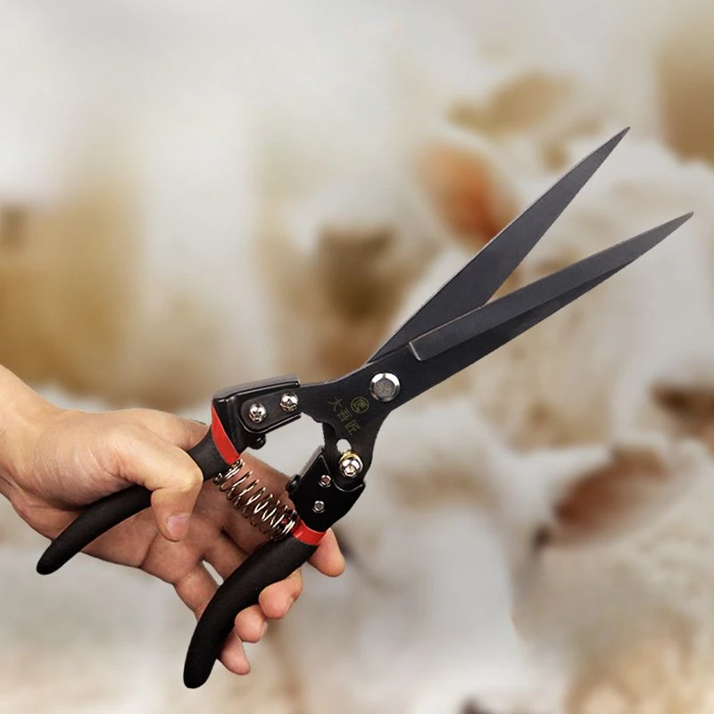 High-end SK-5 Steel Large Spring Scissors Home Professional Shaving Wool Rabbit Wool Hand Scissors