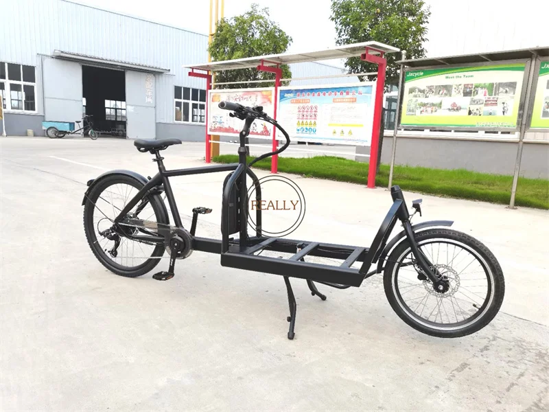 New 2 Wheel Cargo Bike Front Loading Electric Two Wheel Goods Bicycle for People