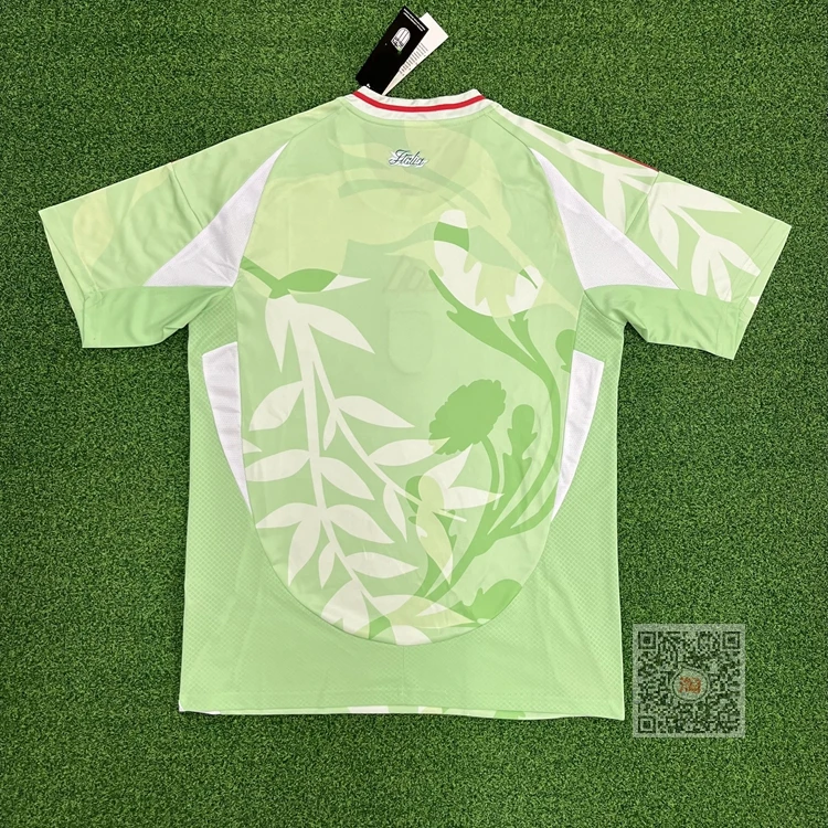 قميص منتخب كرة القدم النسائية لكأس 2025، زي خارجي للمنتخب الإيطالي، قميص كأس أوروبا بأكمام قصيرة، نسخة المشجعين قابلة للتخصيص #2