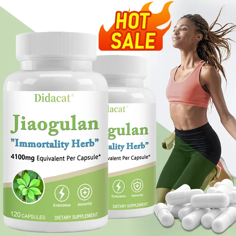 

High Strength Jiaogulan Capsules 410mg, Support Daily Vitality, Adapt Metabolism & Immune Wellness, Relieves Stress, Non GMO