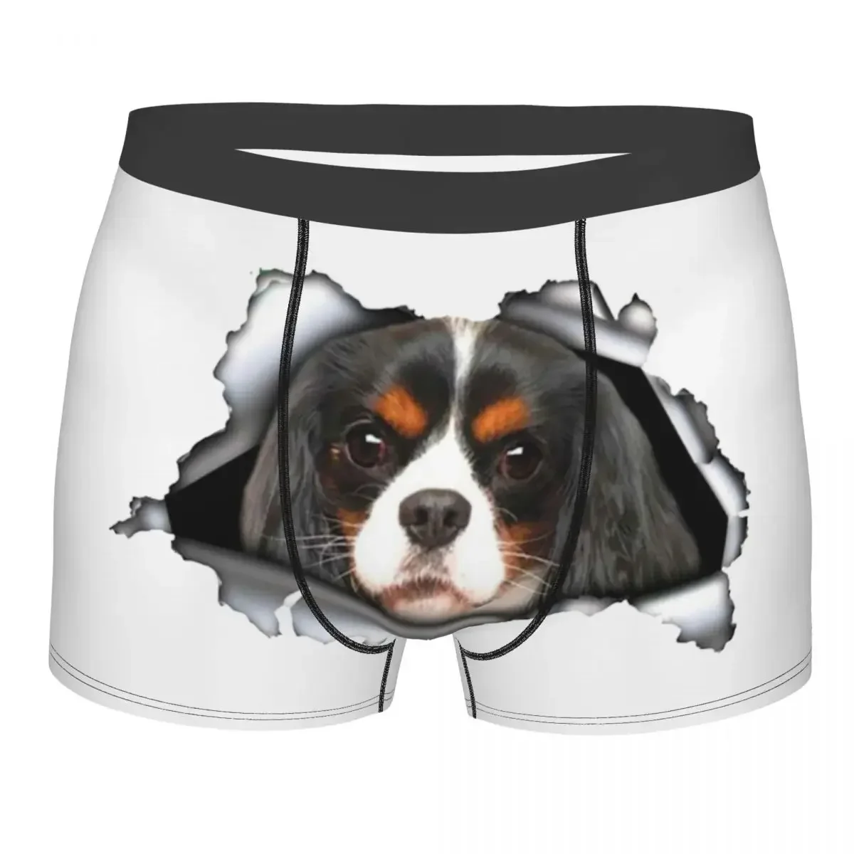 Custom The Cavalier King Spaniel Puppy Underwear  Breathable Dog Boxer Briefs Shorts Panties Soft Underpants For Homme