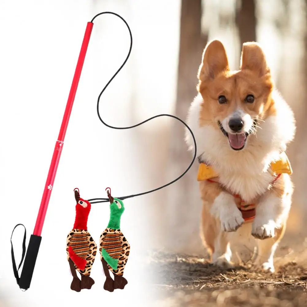 1 Set Durable Dog Flirt Stick  Non-slip Wear-resistant Dog Flirt Pole  Interactive Teaser Wand Dog Toy