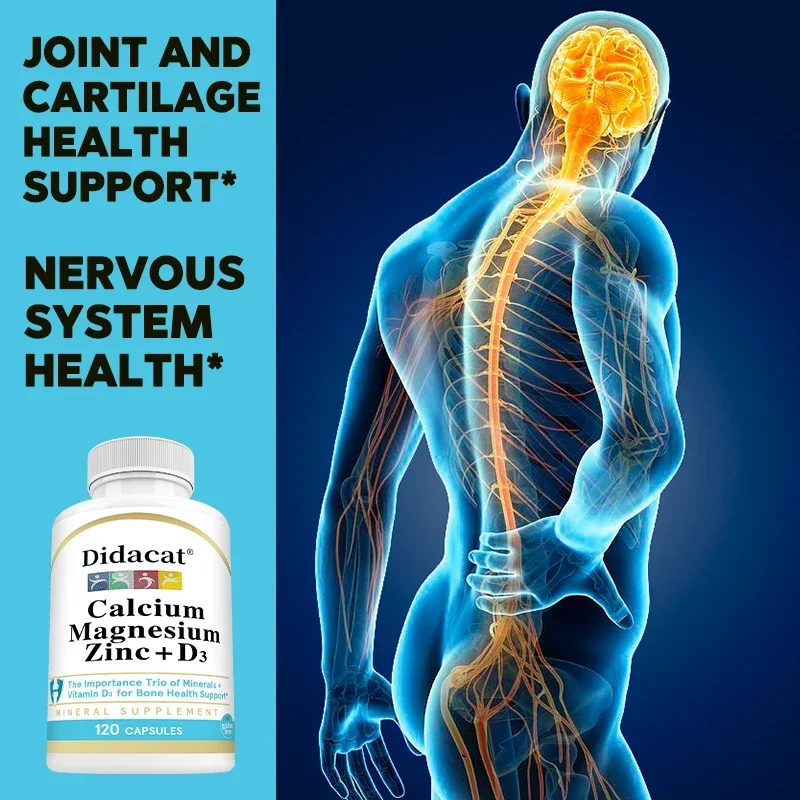 Calcium, Magnesium, Zinc and Vitamin D3 - Supports Bone Strength, Teeth, Muscle and Immune Health, Vitamin & Mineral Supplement