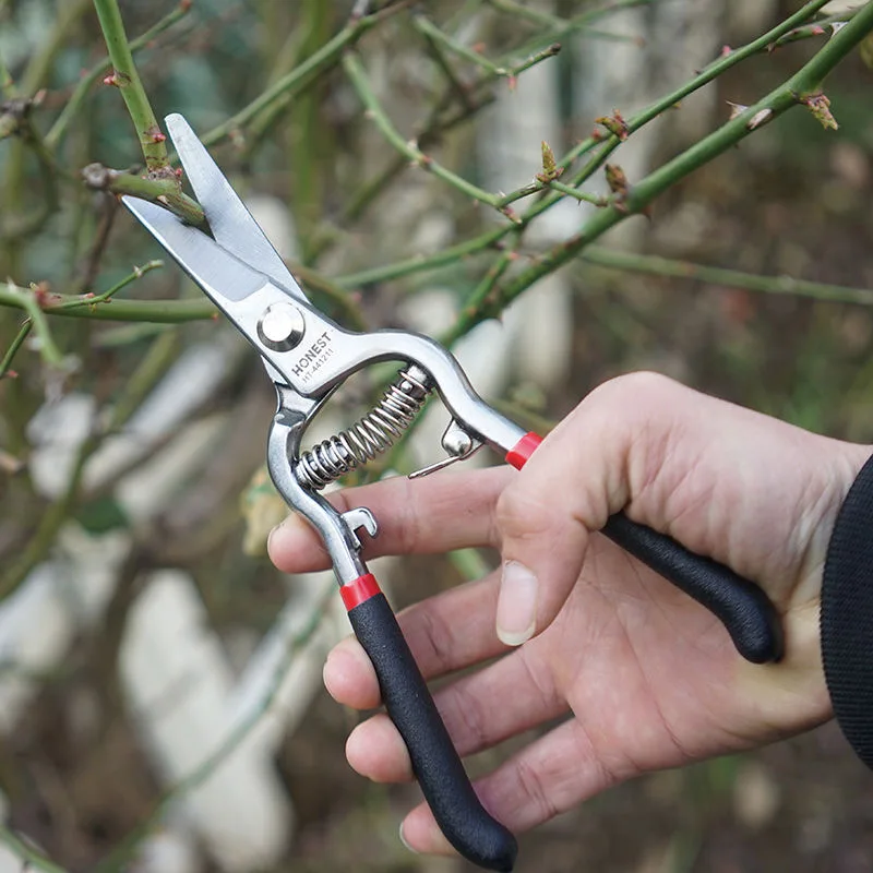 أدوات الحدائق مقصات تقليم الحدائق مقص تشذيب شفرة فولاذية عالية الكربون لأشجار الفاكهة بونساي فروع الزهور