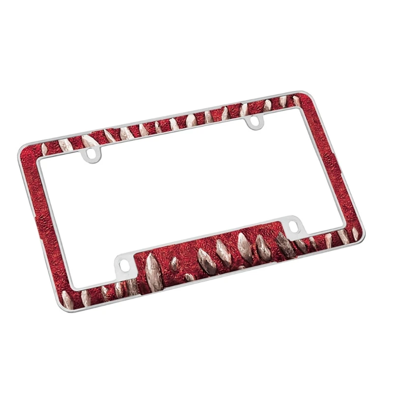 License Hold Plastic License Cover Modern Plate Frame Eye catching License Cover