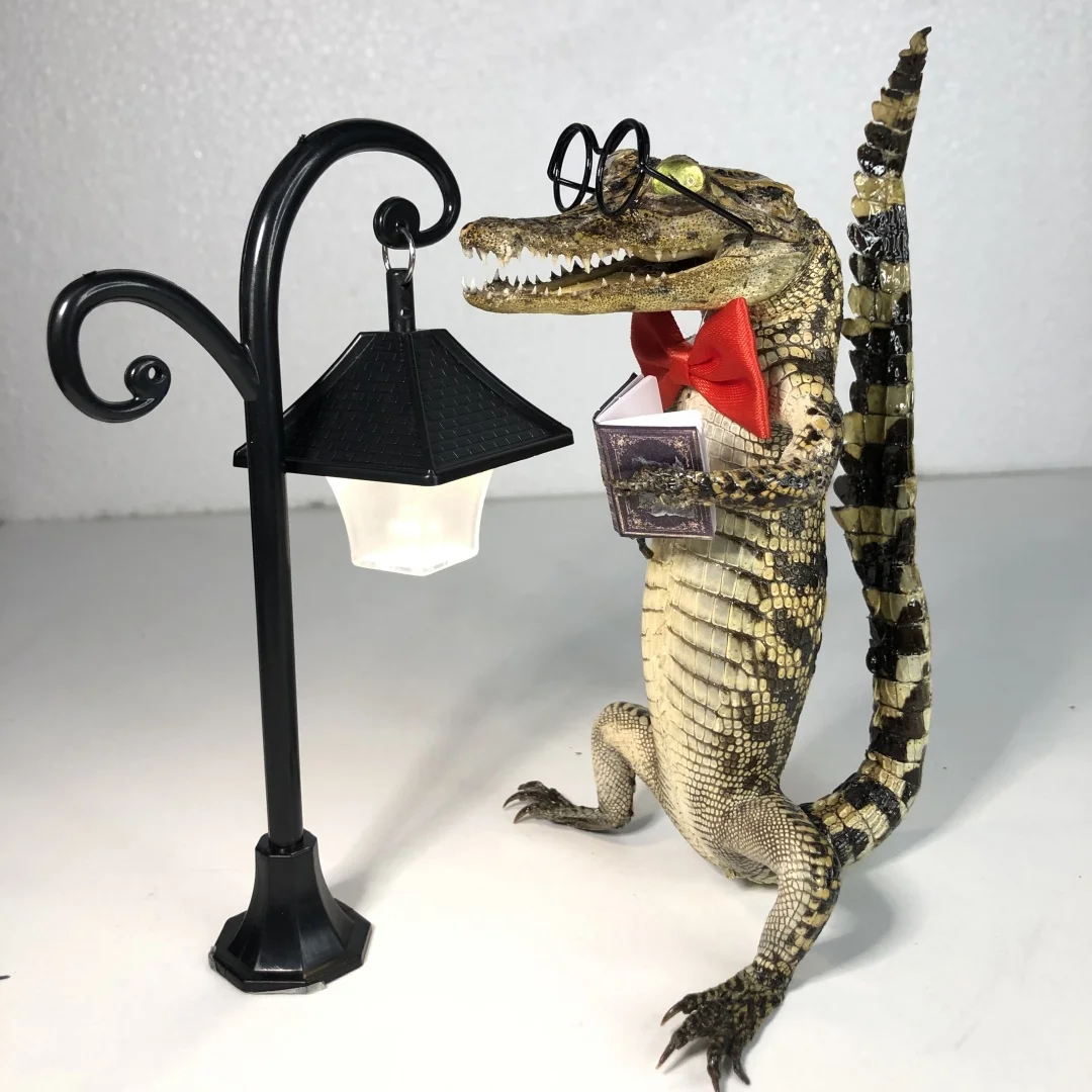 2268 Gothic Dark Style Reading Crocodile Plastic Statue Spooky Horror Craft Ornament Halloween Christmas Party Desktop Decor