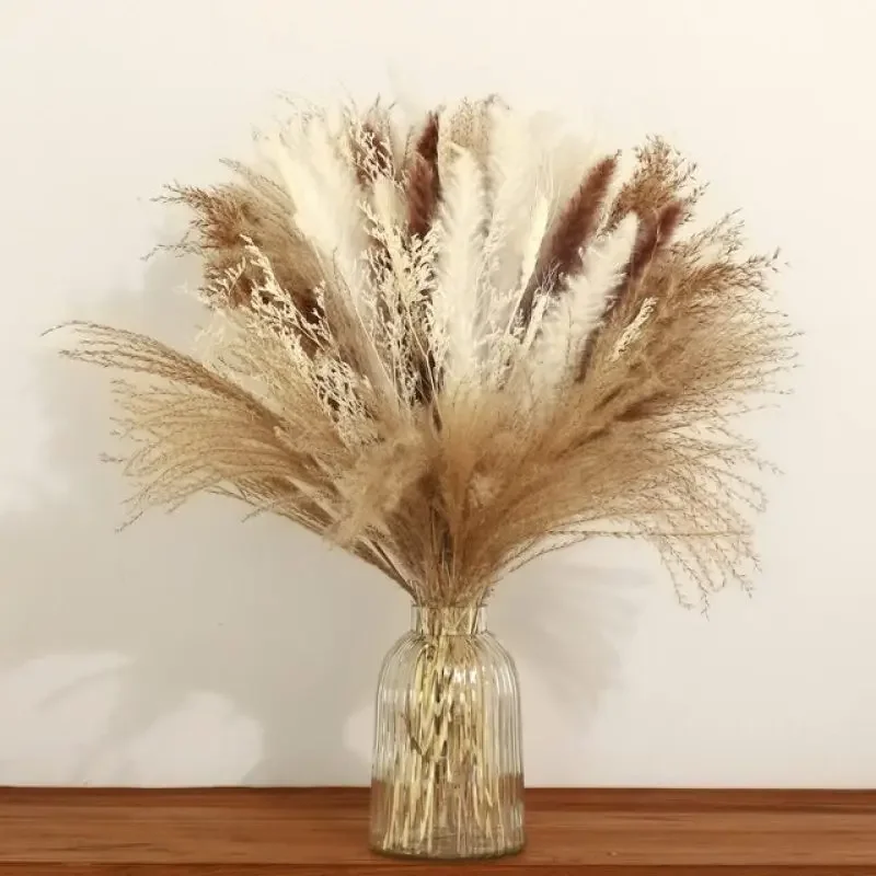 Dried Fluffy Pampas Grass Dry Flower Pompas Bunny Tails Bouquet Home Boho Room Farmhouse Decor Wedding Arrangement Decorations