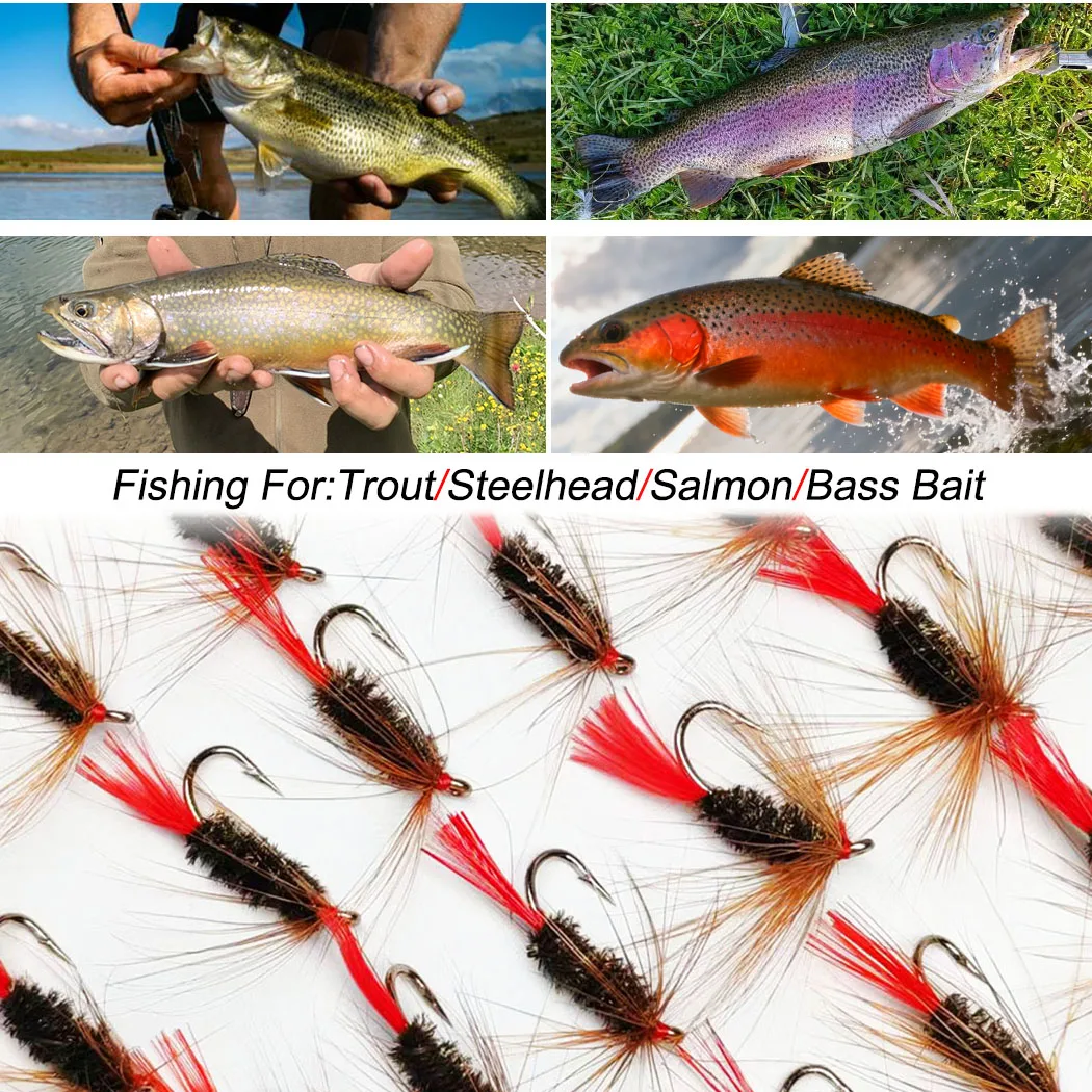 10 Teile/schachtel Fliegenfischen Fliegen Trockenfliegen Lockt Redtail Trockenköder Forelle Künstliche Nymphen Köder für Angeln Forelle/Barsch köder – Detail 6