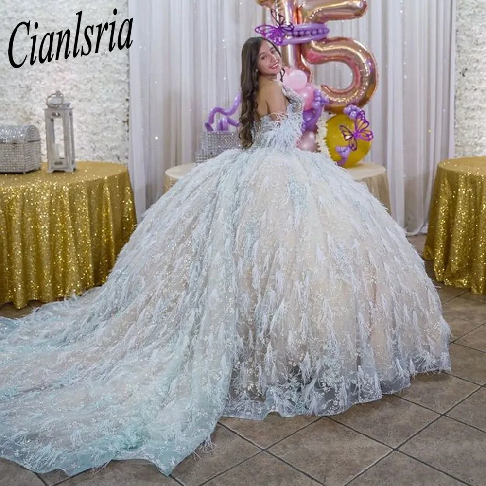 

Feathers Sky Blue Quinceanera Dresses 2023 Sweetheart Lace Sequined Flowers Sweet 15 Ball Gown Party Princess