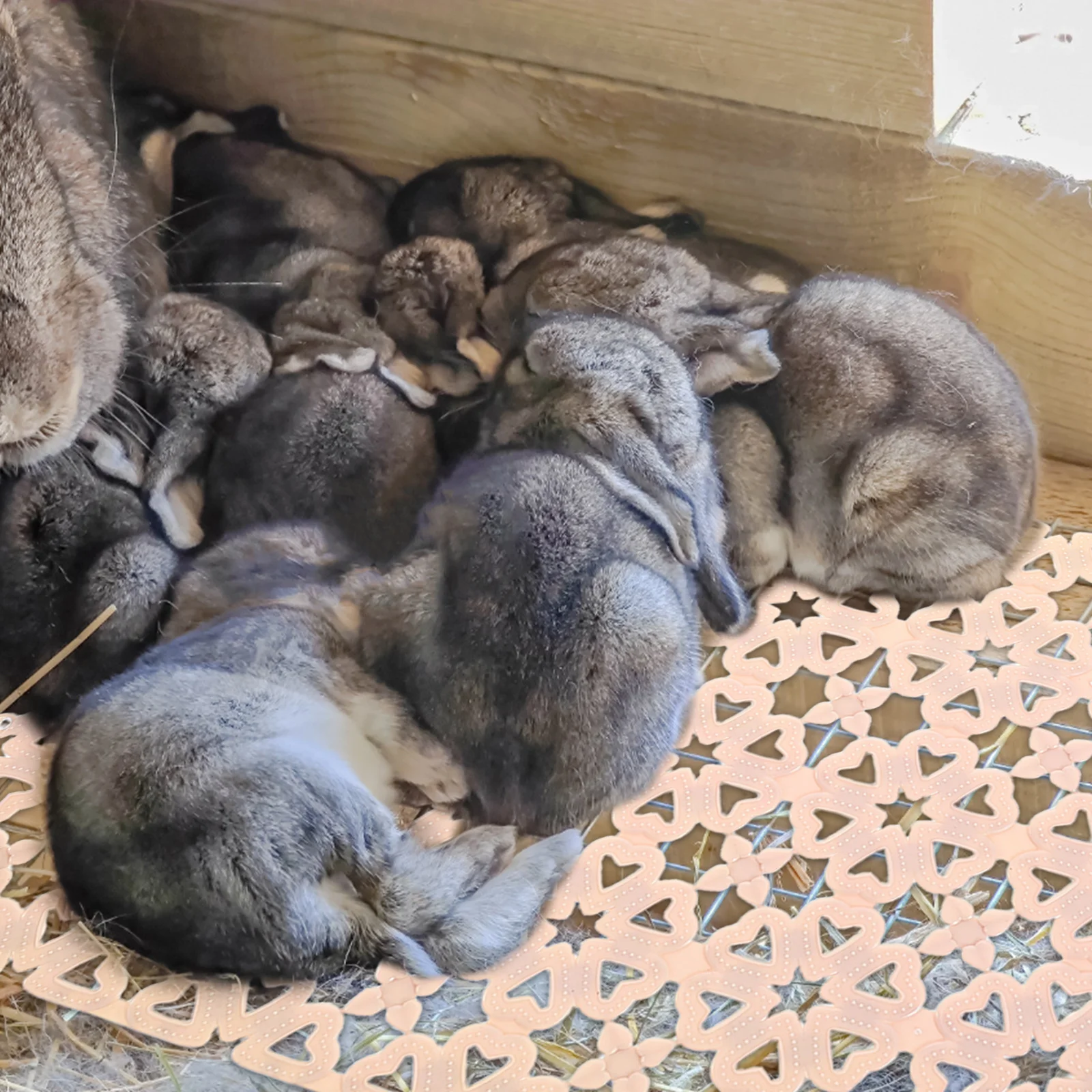 

10Pcs Rabbit Cage Floor Mat Waterproof Plastic Pad for Bunnies Scratch Resistant Cleaning Friendly Cage Accessories