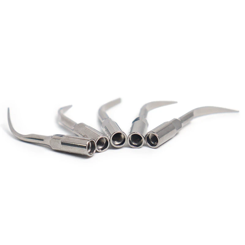 5 uds Dental escalador ultrasónico punta escalado periododoncia endodoncia ajuste EMS pájaro carpintero herramientas de blanqueamiento Dental