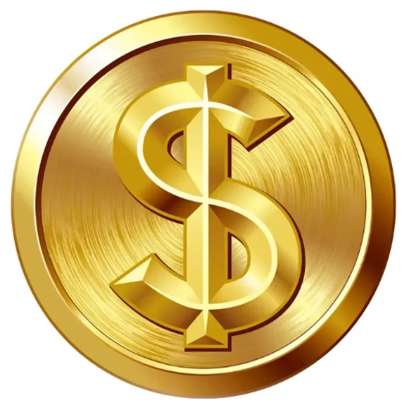 Special Payment Link Not for Normal Sell，For Fast Shipping ,Custom