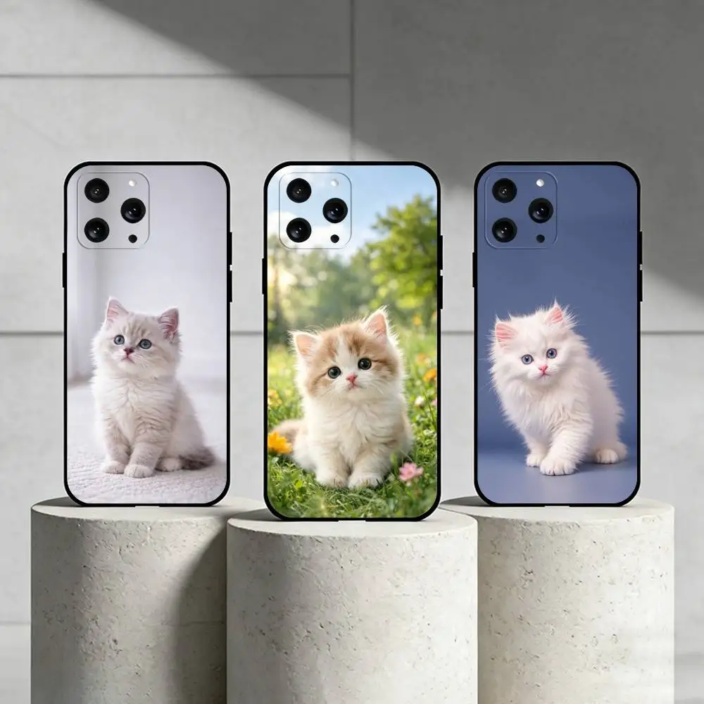 C-Cute and cute kitten Phone Case For iPhone 17,16,15,14,13,12,11 Plus,Pro Max,SE4Soft Silicone Black Cover