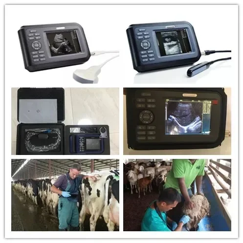 V8 Smart Ultrasound System Handheld Veterinary  Scanner for Equine, Cattle, Sheep and Dog