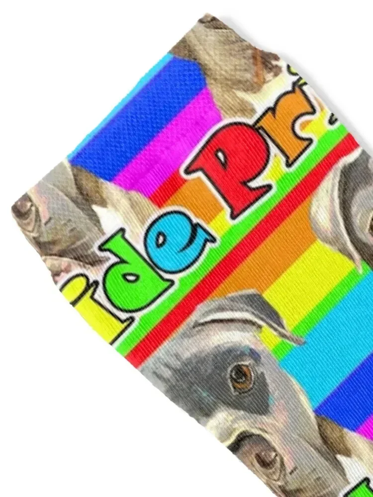 Rainbow Pride Pup Socks floral gift Wholesale football Man Socks Women's