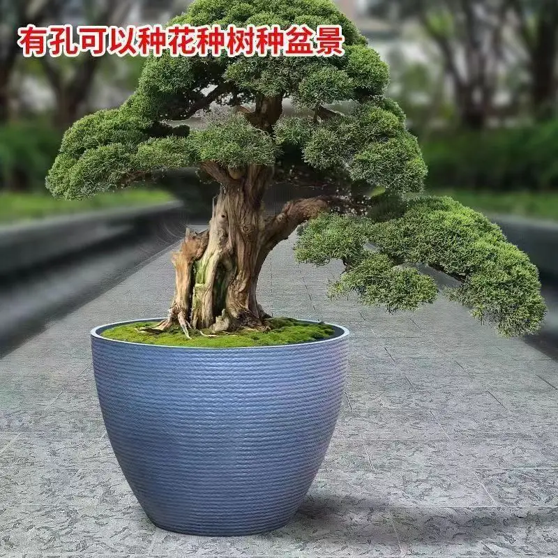 Thick Round Multi-scene Plastic Planter For Lotus Water Lily Indoor Balcony Office Decor Dual-use Flower And Fish Tank Pot