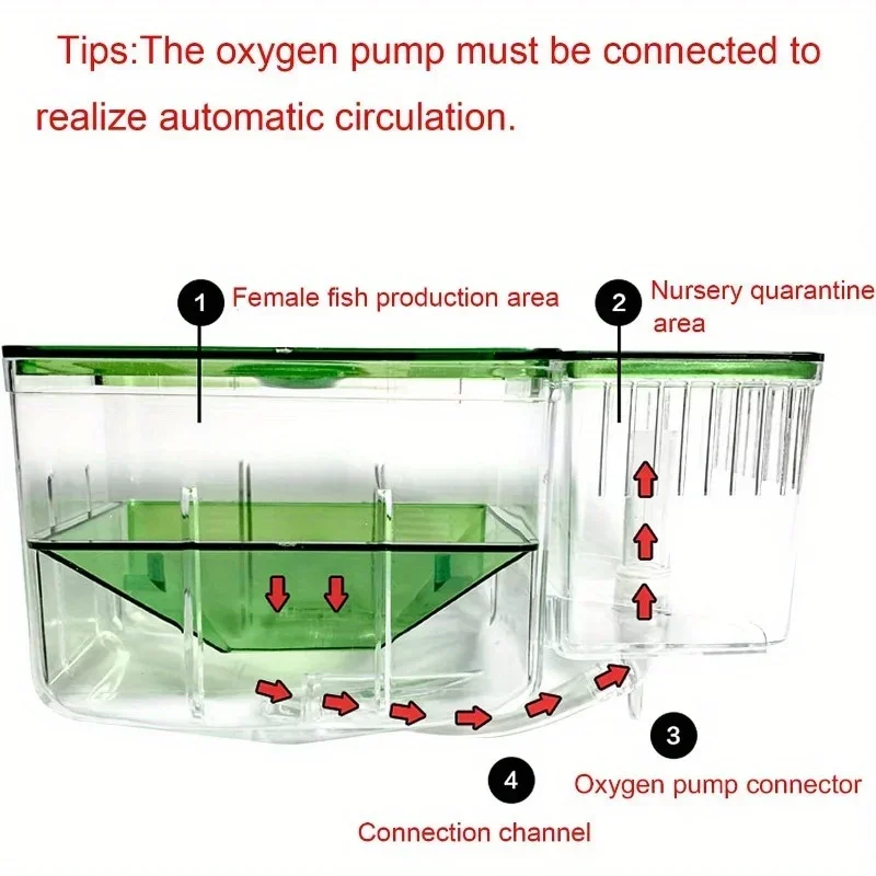 Automatic Circulating Fish Breeding Isolation Box Nursery for Aquarium, Hatchery for Baby Fishes, Shrimp, Clownfish, and Guppy