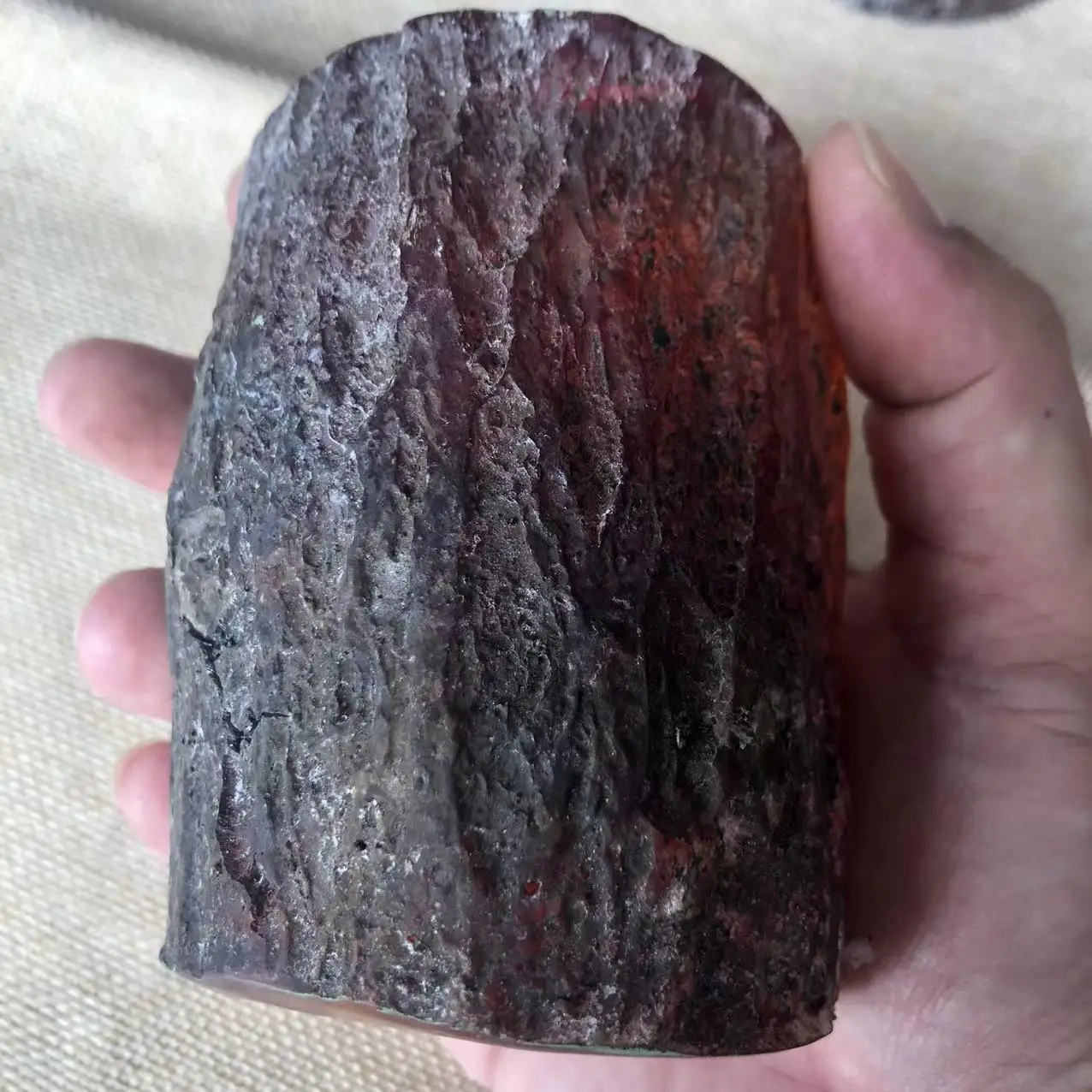 Antique crafts resin amber with insects scorpion cicada crab butterfly insect specimen stump ornaments