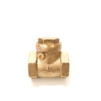 DN15 DN20 DN25 Horizontal Brass Wire Mouth Non-return Valve Brass Female Thread Check Valve