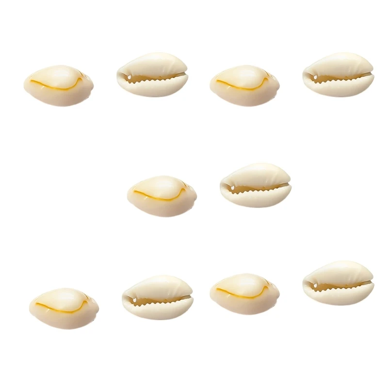 652f 10pcs Natural Conch Shell Cloton