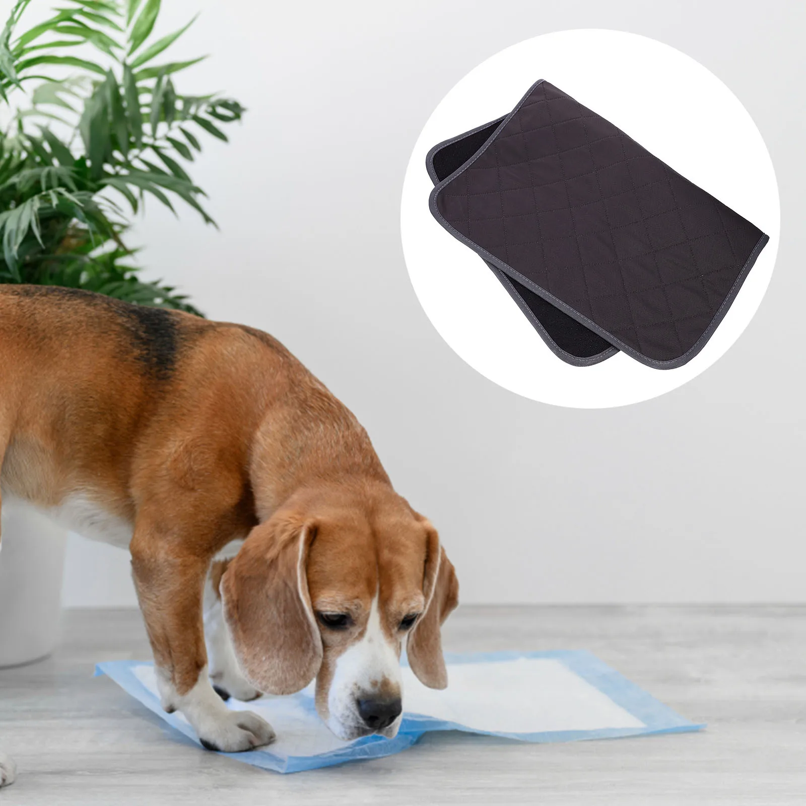 

Small Dog Training Pad Reusable Washable Pet Pee Mat Absorbent Leakproof Soft Cozy Sleeping Mat for Dogs Cats Pee Pads for Dogs