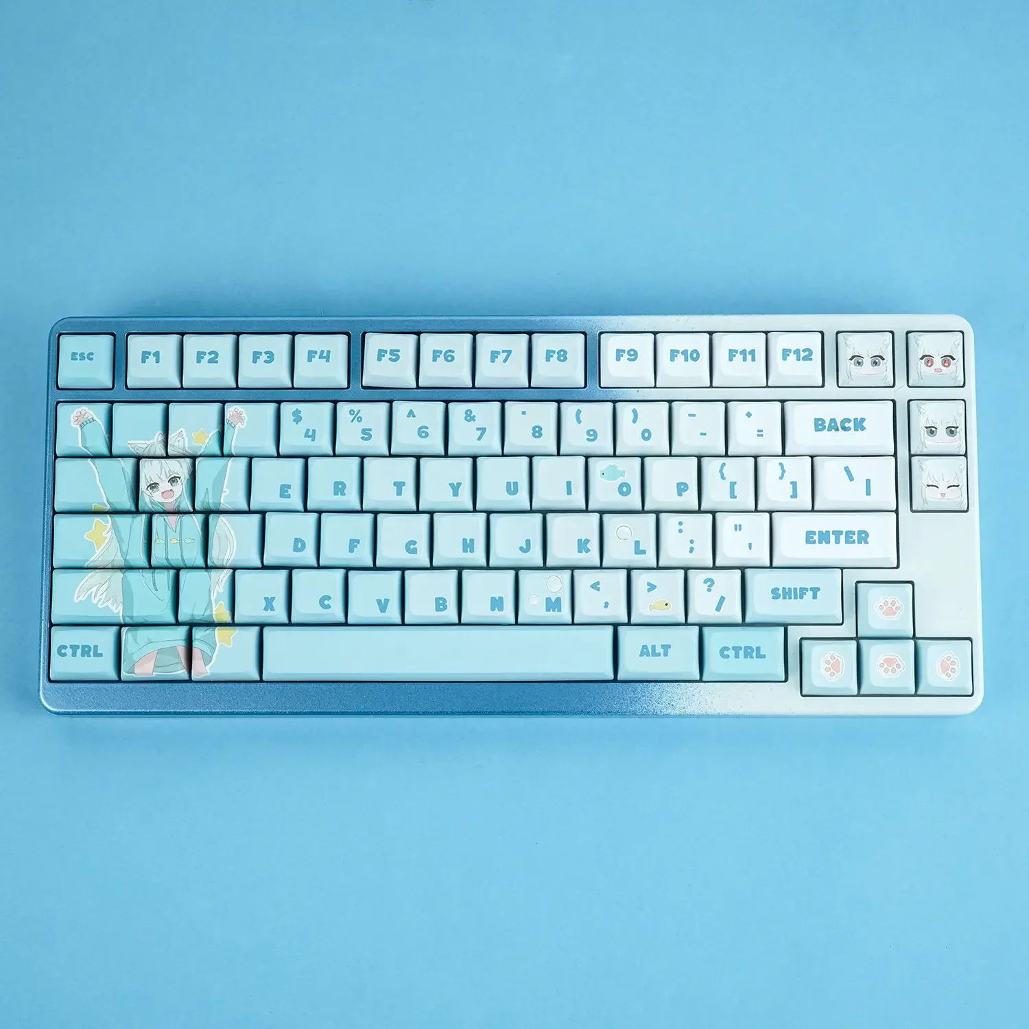 Cat theme mechanical keyboard full set of XDA keycaps five-sided sublimation 60/68 keys