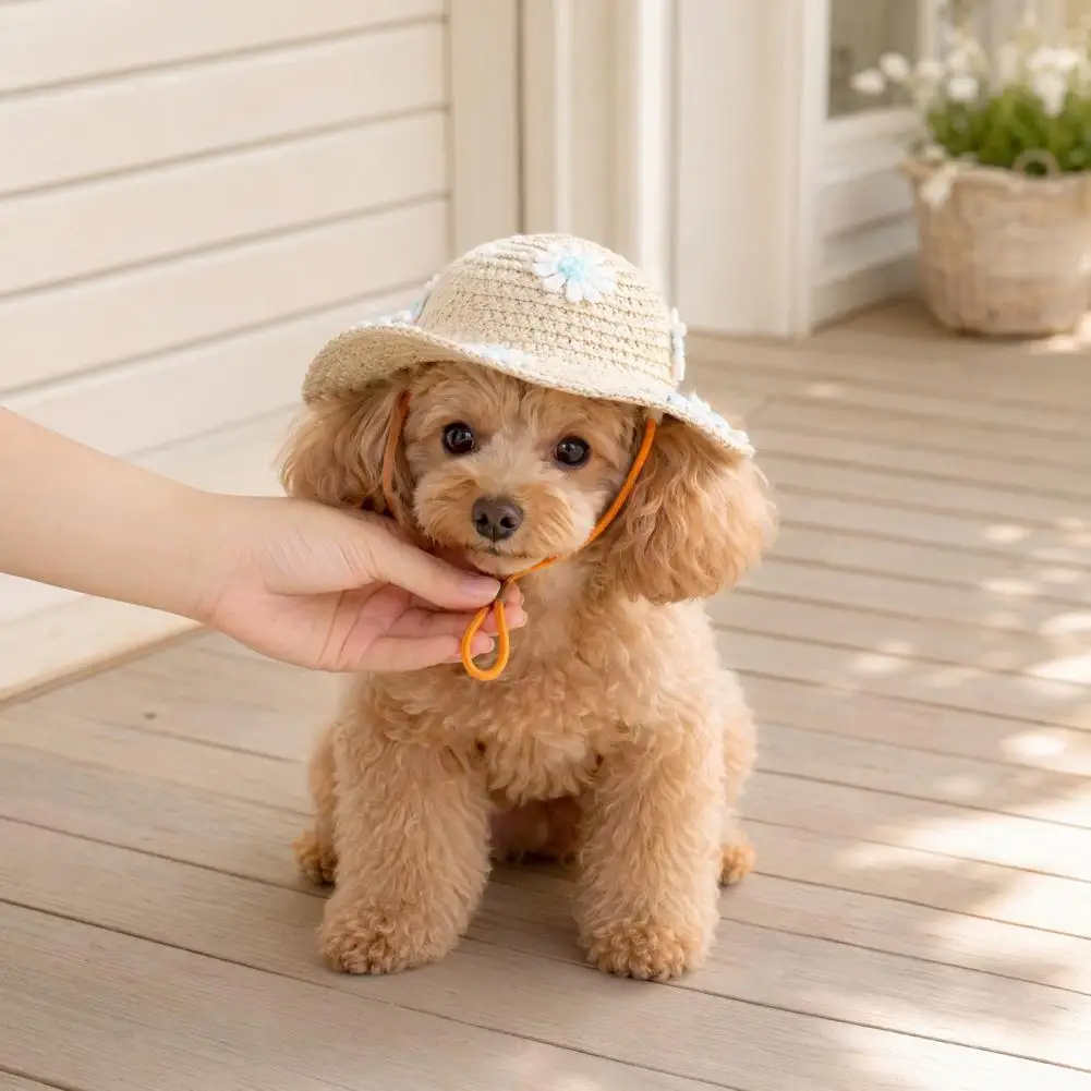 Exquisite hand-woven craftsmanship, soft and harmless to pet hair and skin