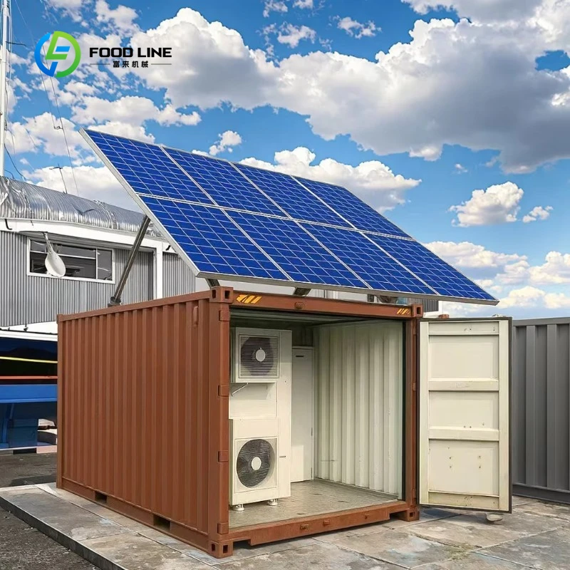 Customized High-Efficiency Solar Cold Storage Battery Backup Refrigerated Room for Off-Grid Agricultural Use