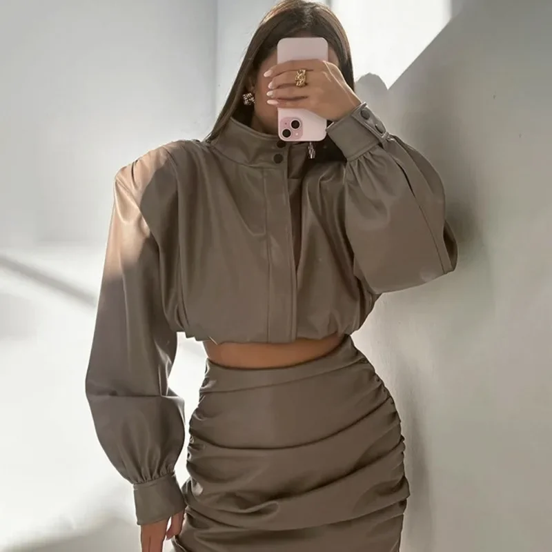 سترة جلدية كلاسيكية للنساء للخريف موضة جديدة ملابس خروج قصيرة الطول جاكيت زيبرا فاخر بياقة واقفة ملابس خارجية نسائية #6