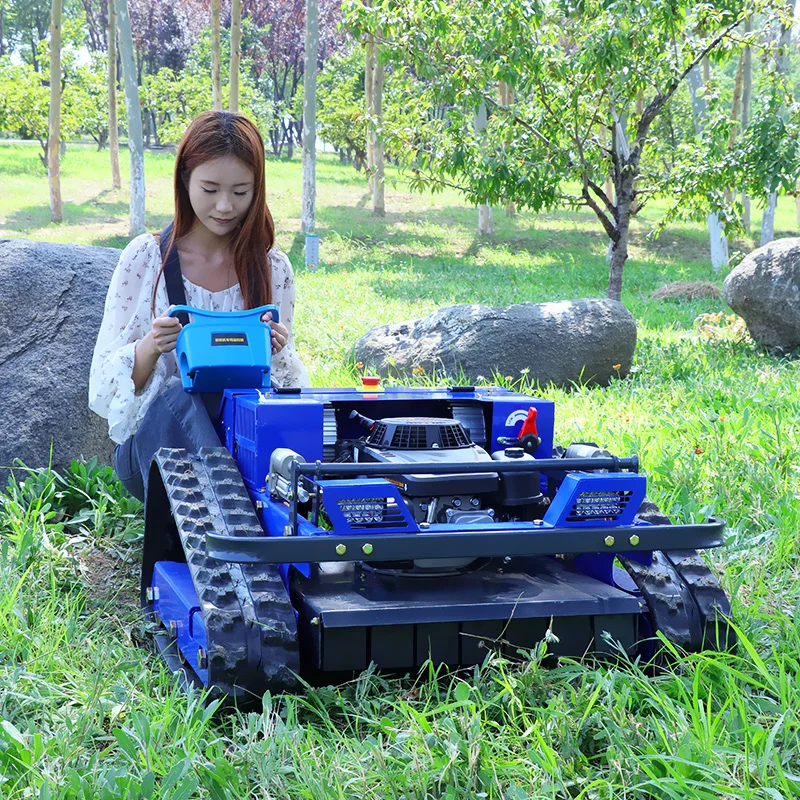 

Customized Factory Cheap Price Grass Robot Slope Crawler Remote Control Lawn Mower With CE EPA Certificate