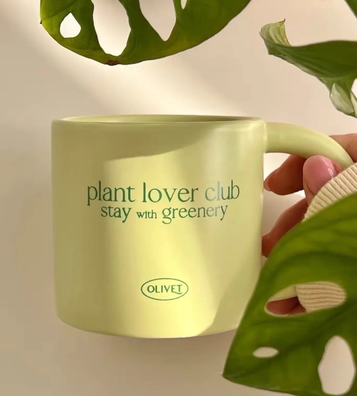 Plant Lover Club Stay with Greenery Matcha Green Ceramic Mug Water Cofee milk beer tea Cup