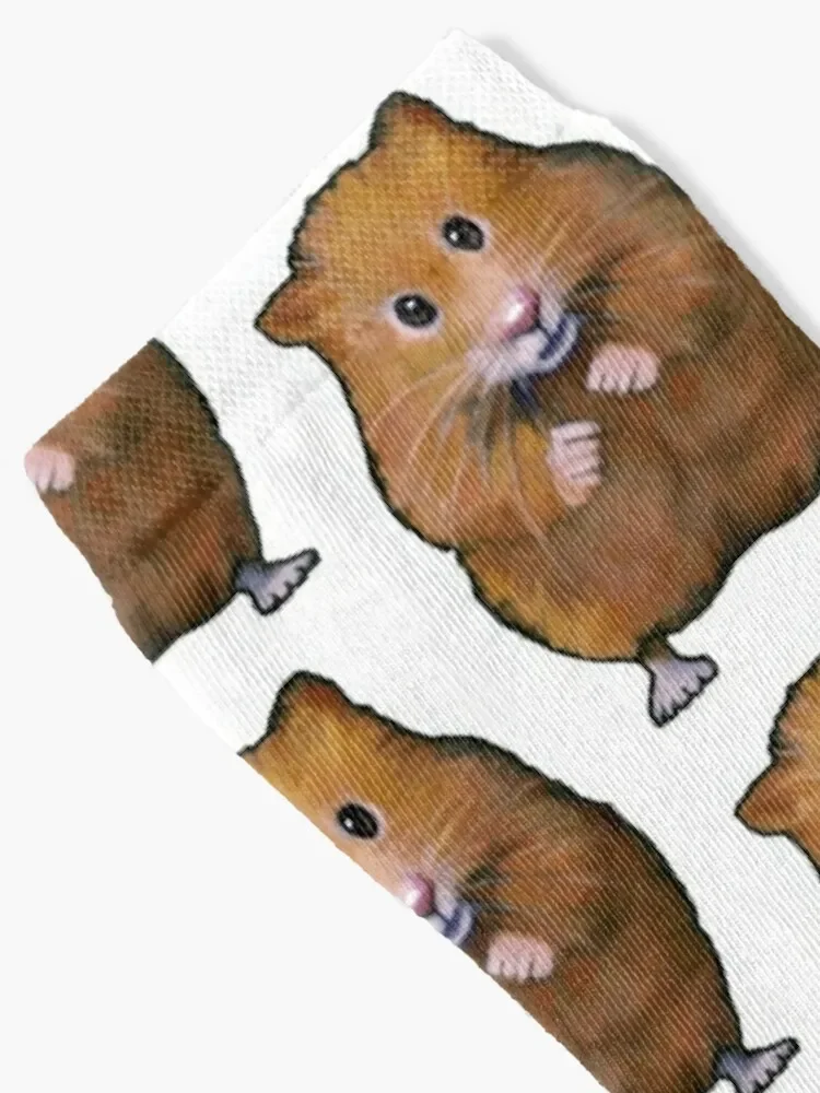 Little Hamster: Original Art, Standing Hamster Socks Novelties ankle Rugby Men's Socks For Men Women's