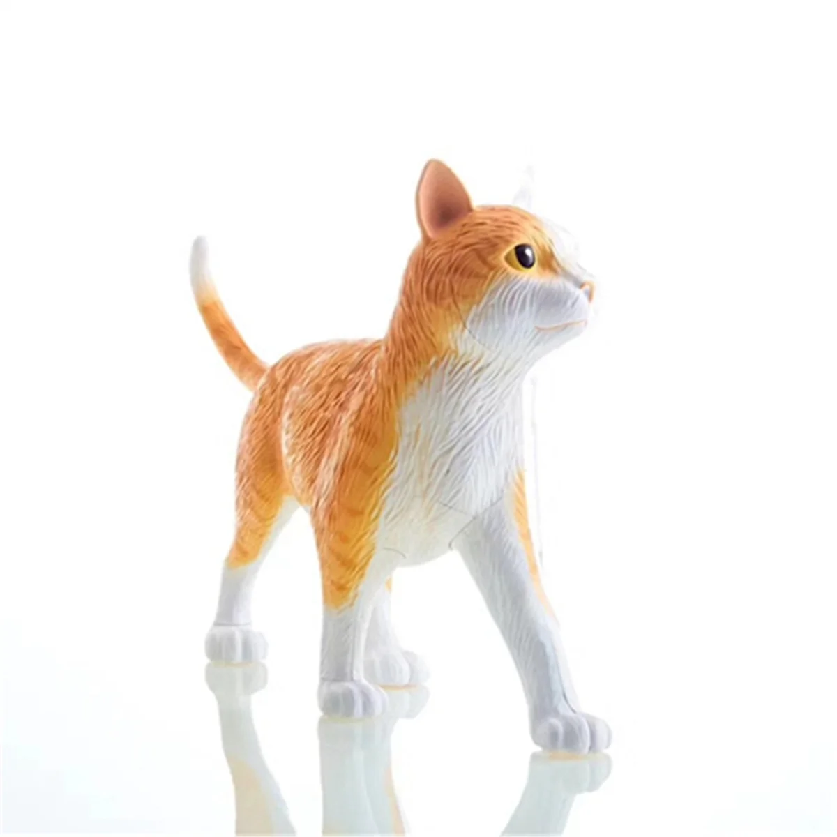 Animal Organ Anatomy Model 4D Cat Intelligence Assembling Toy Teaching Anatomy Model DIY Appliances