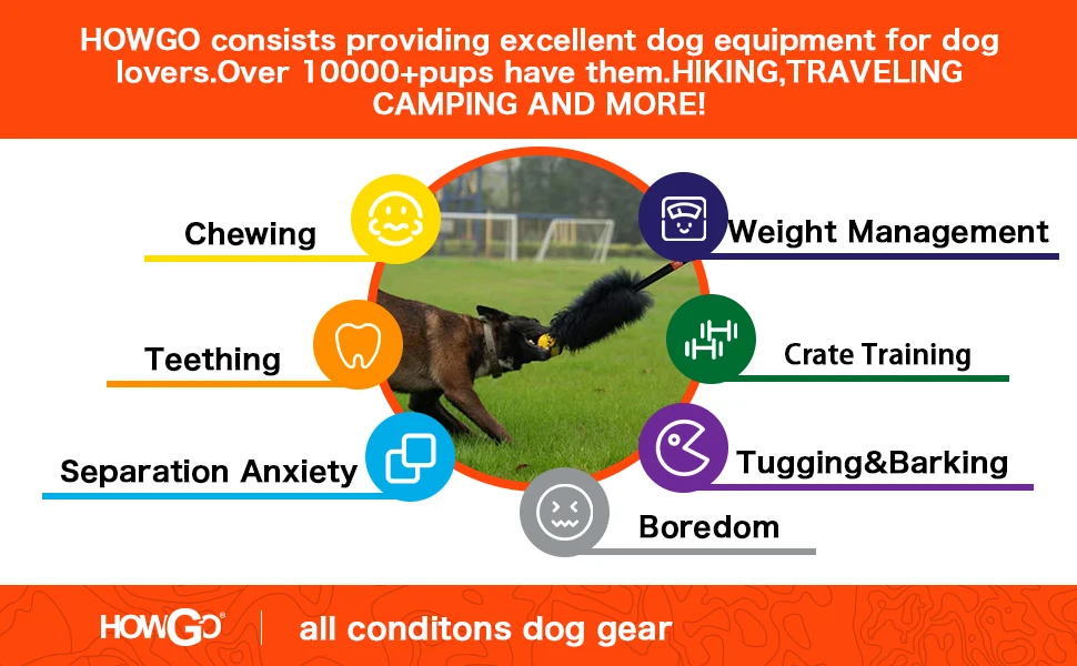 Double Dog Leash No Tangle Dual Dog Leash Lead Coupler Splitter Adjustable Two Handle Training Walking for Medium and Large Dog