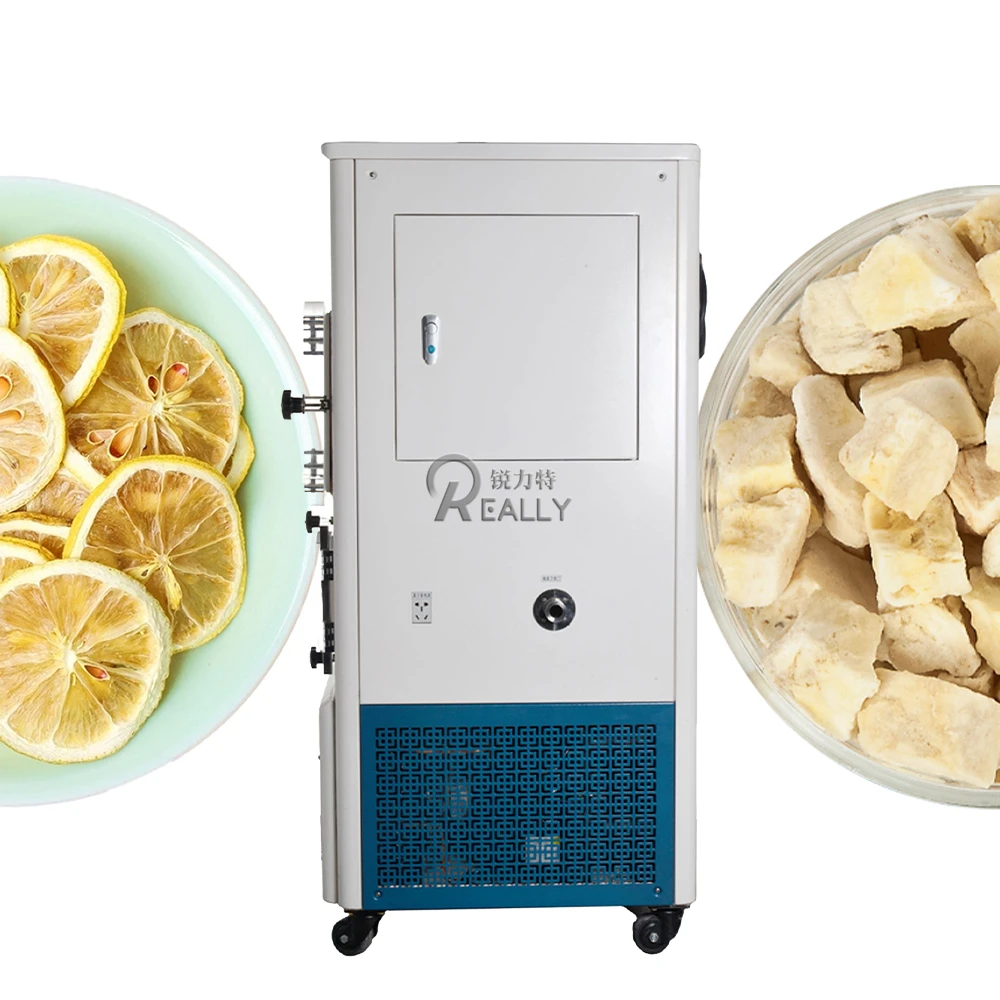 凍結乾燥真空凍結乾燥機、食品用脱水機、商用機械、野菜と果物、リンゴ、キウイ、チップ、0.2㎡