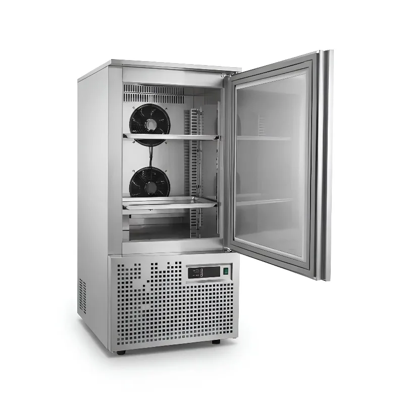 Commercial Quick Blast Freezer -40°C with 15 Plates for Fish Meat and Seafood Super Deep Flash