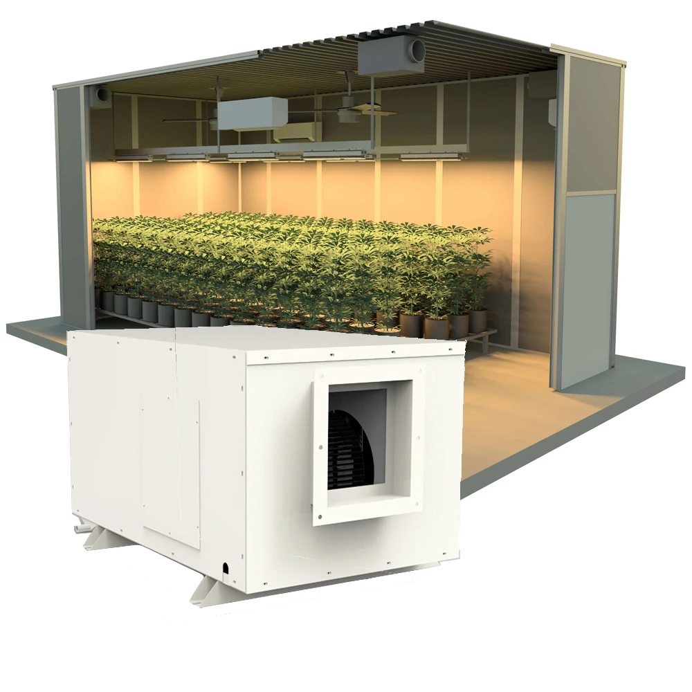 138L/day Duct Dehumidifier for Green House