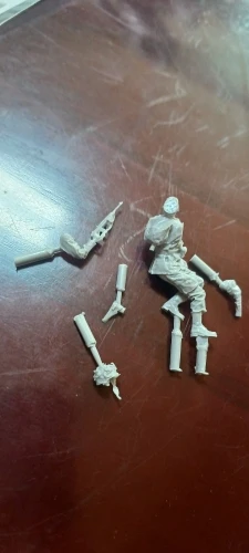 Buyer photo of this resin kit
