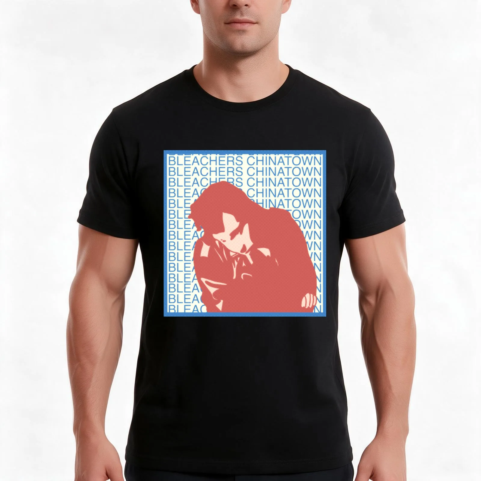 Bleachers Indie Pop Officially Known Musician Record Produce Funny T-Shirt, Summer Casual Cotton Tee, Oversized Streetwear Tops