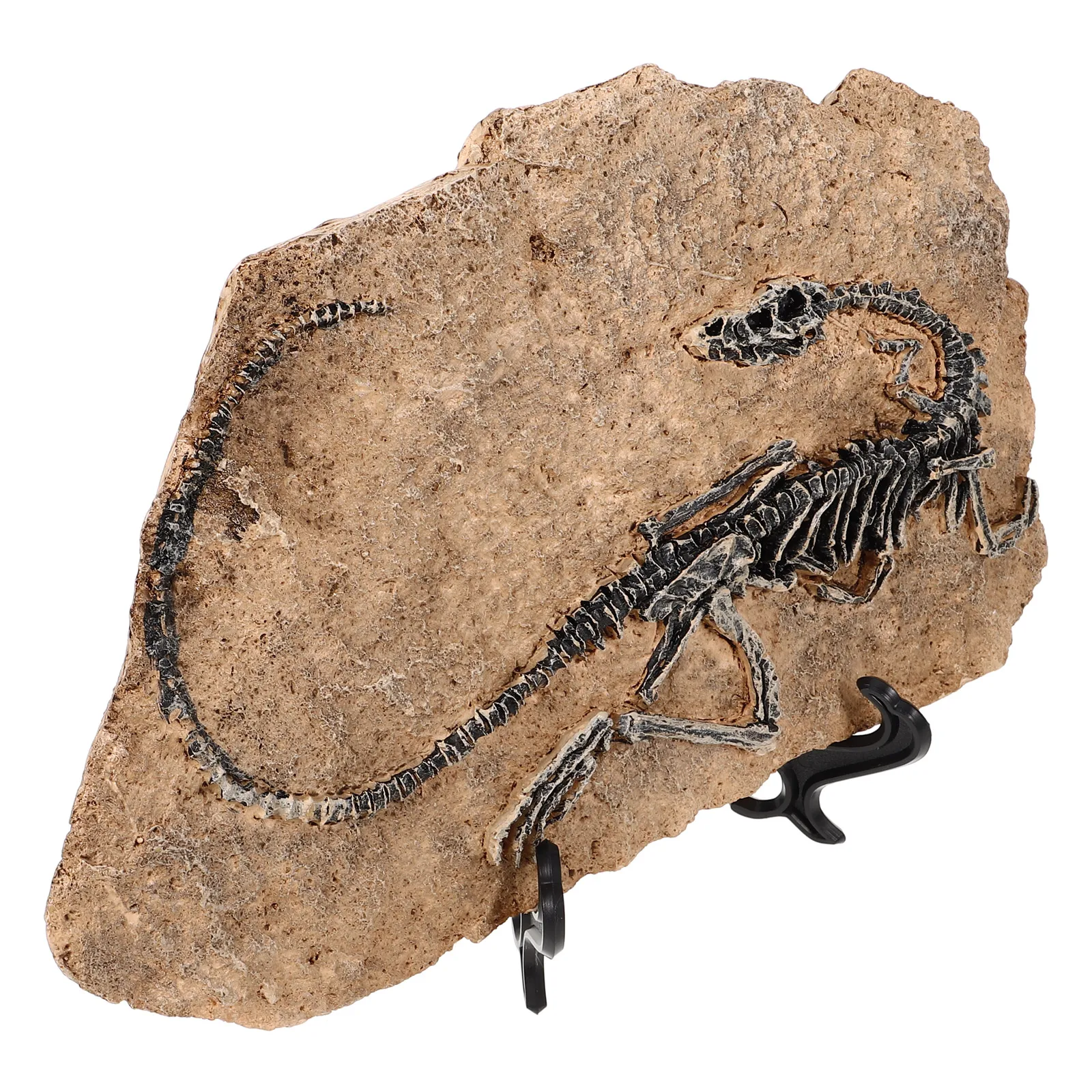 

Resin Figurines Decor Home Models Office Specimen Model Dinosaur Dinosaur Models For Kids Toys Gifts